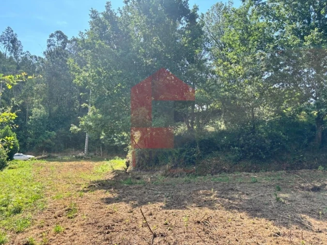 Terreno para Venda em Parada de Gatim Foto 11