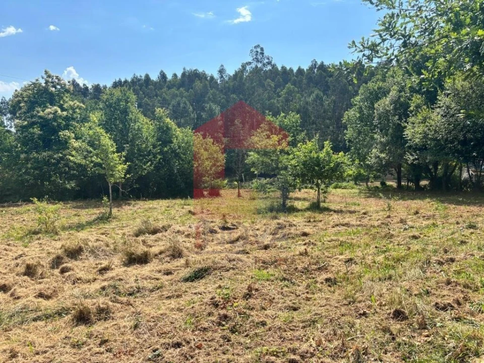 Terreno para Venda em Parada de Gatim Foto 13