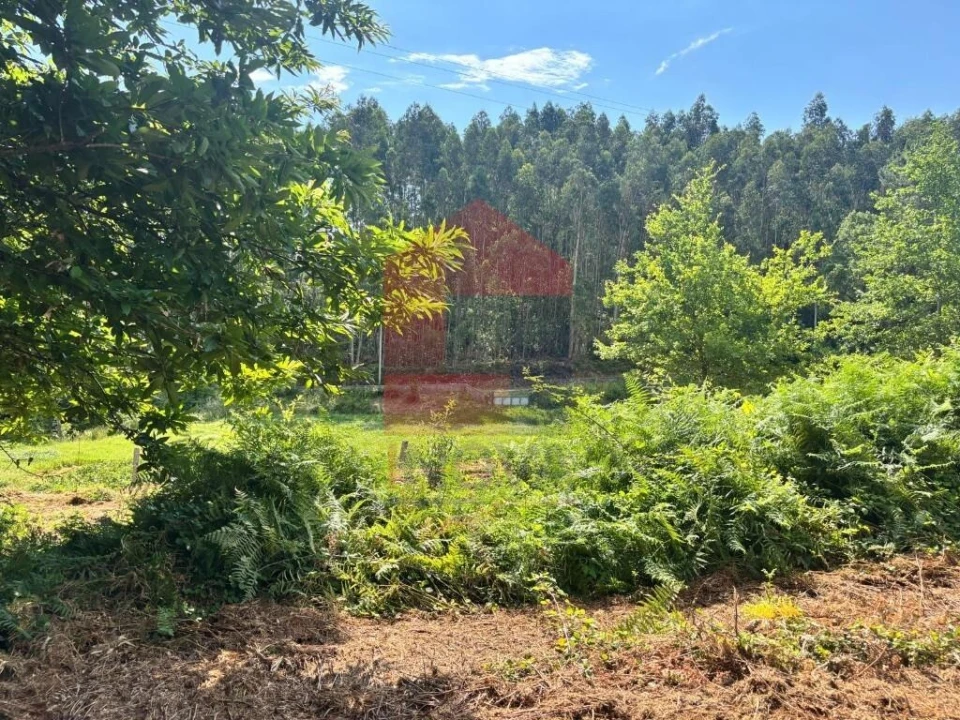 Terreno para Venda em Parada de Gatim Foto 27