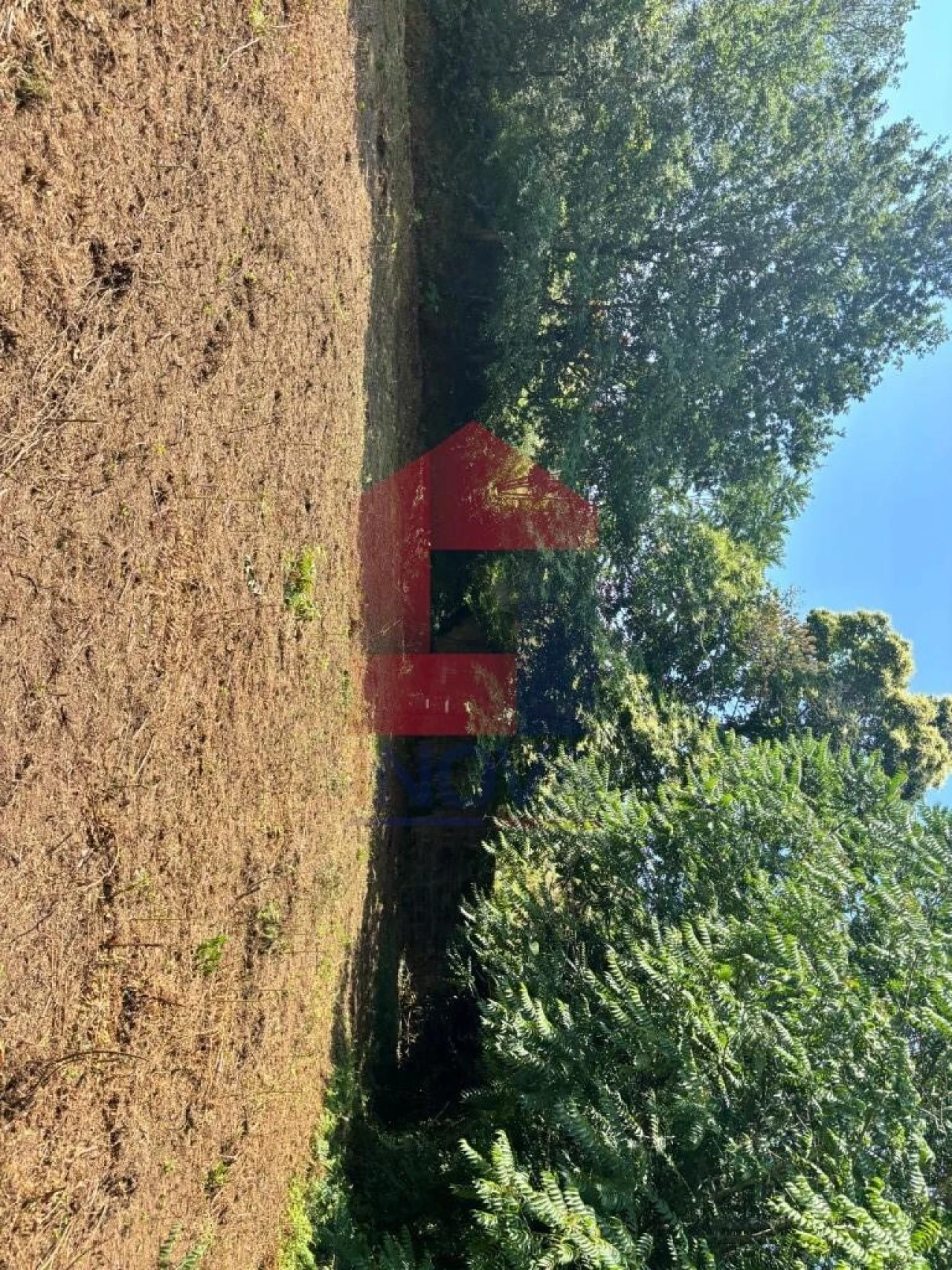 Terreno para Venda em Parada de Gatim Foto 37