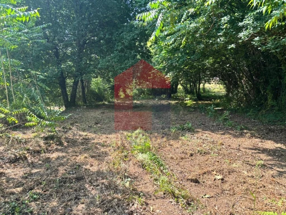 Terreno para Venda em Parada de Gatim Foto 2