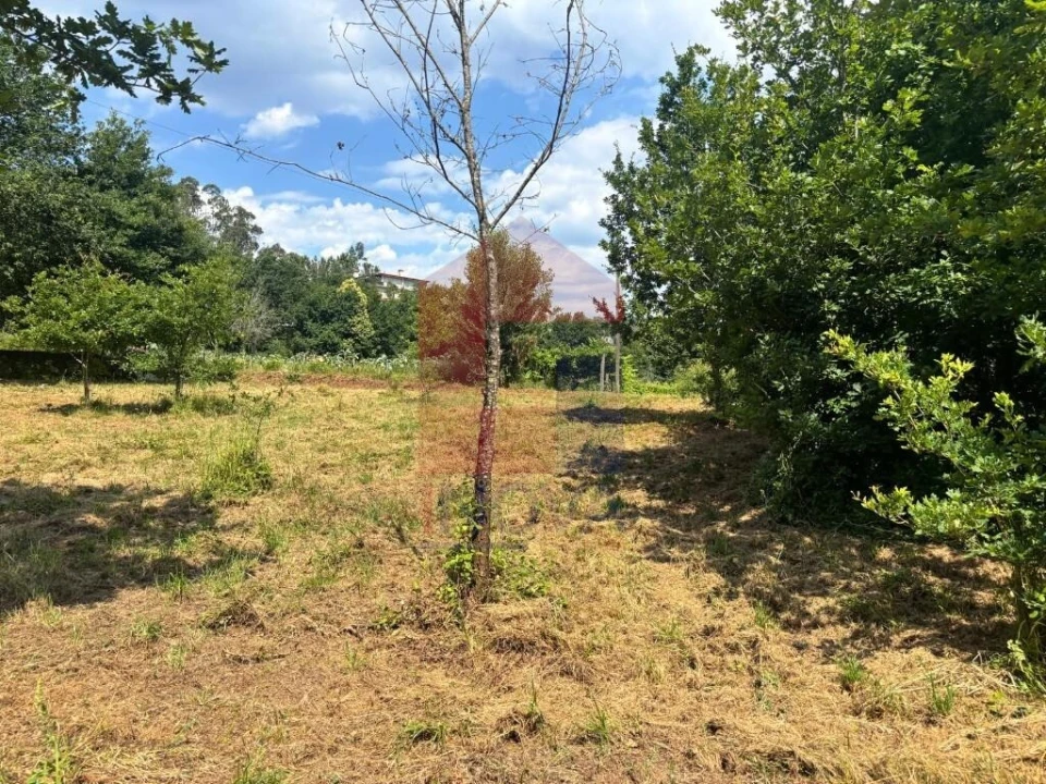 Terreno para Venda em Parada de Gatim Foto 31