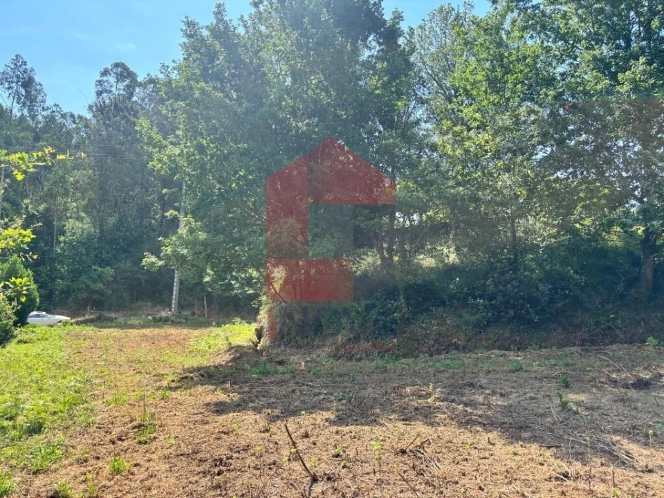 Terreno para Venda em Parada de Gatim Foto 11