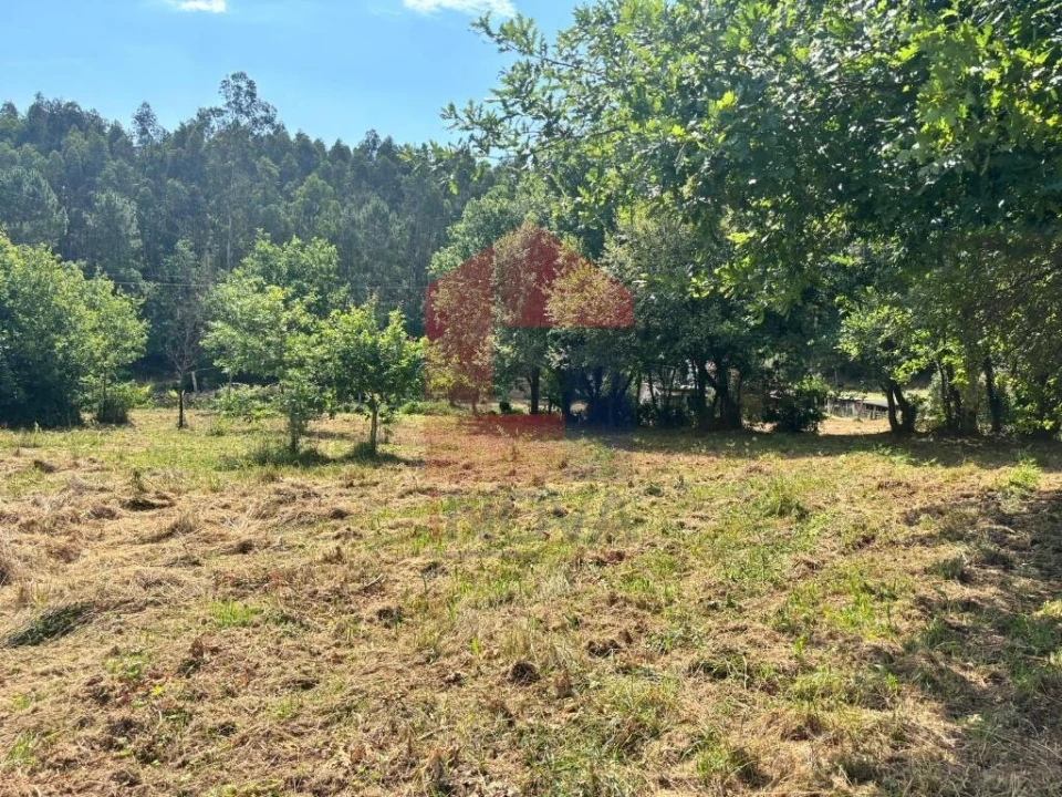 Terreno para Venda em Parada de Gatim Foto 22