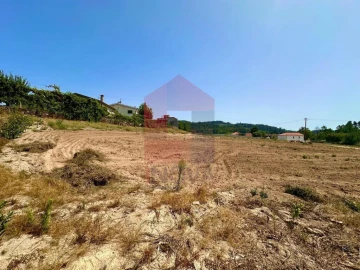 Terreno para Venda em Torre e Portela