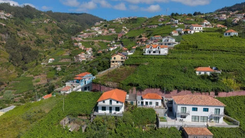Terreno para Venda em Estreito de Camara de Lobos