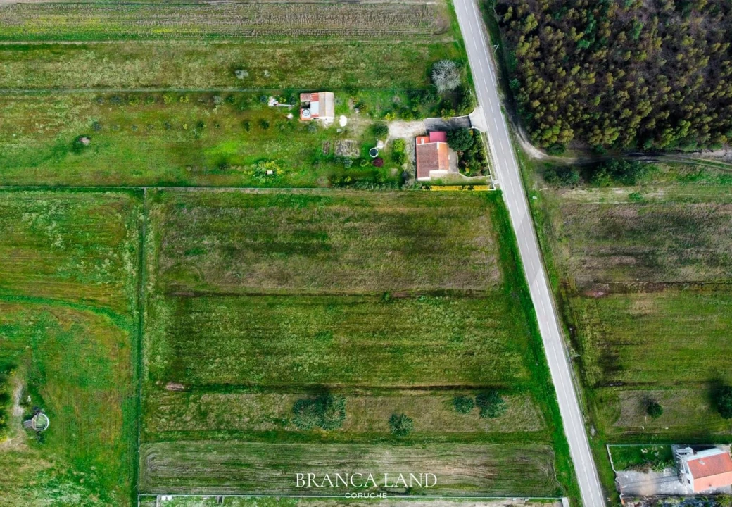 Terreno para Venda em Biscainho Foto 10