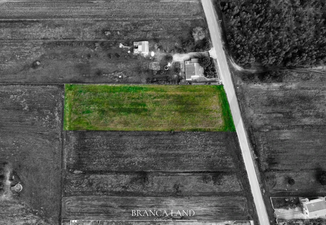 Terreno para Venda em Biscainho Foto 3