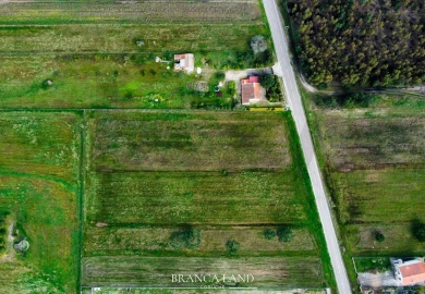 Terreno para Venda em Biscainho
