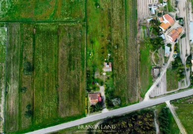 Terreno para Venda em Biscainho