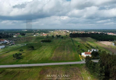 Terreno para Venda em Biscainho