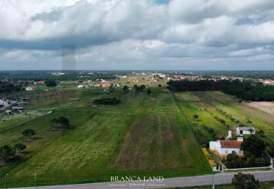 Terreno para Venda em Biscainho