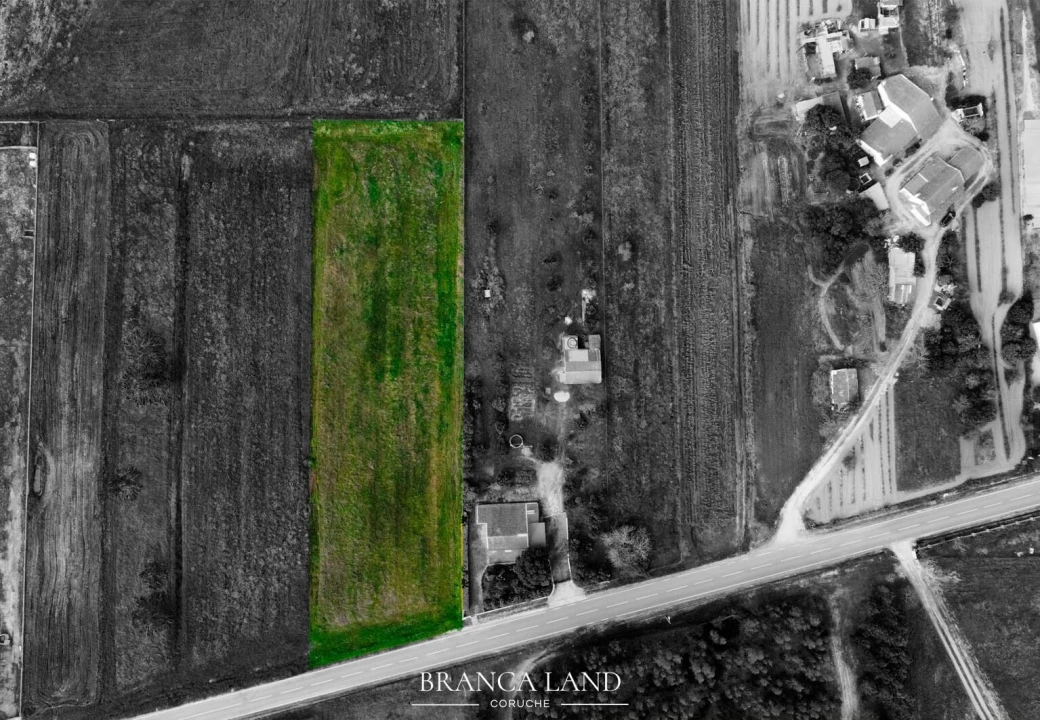 Terreno para Venda em Biscainho Foto 1
