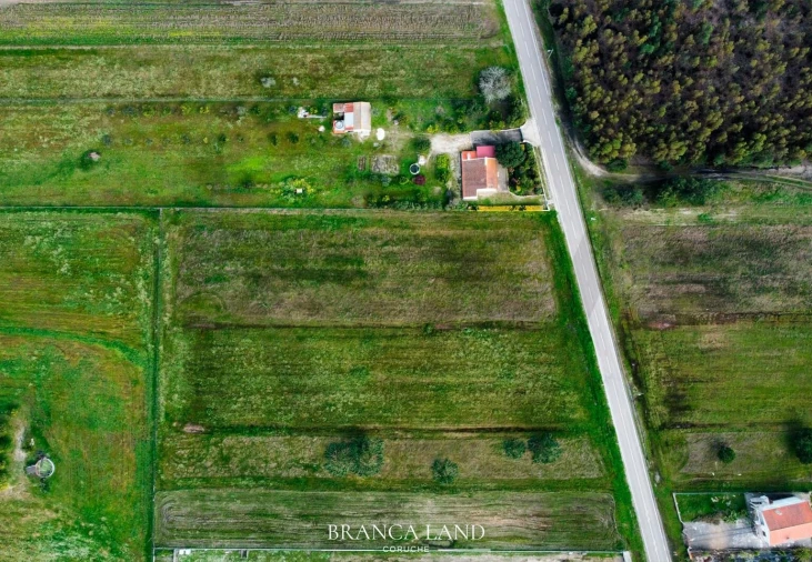 Terreno para Venda em Biscainho Foto 10