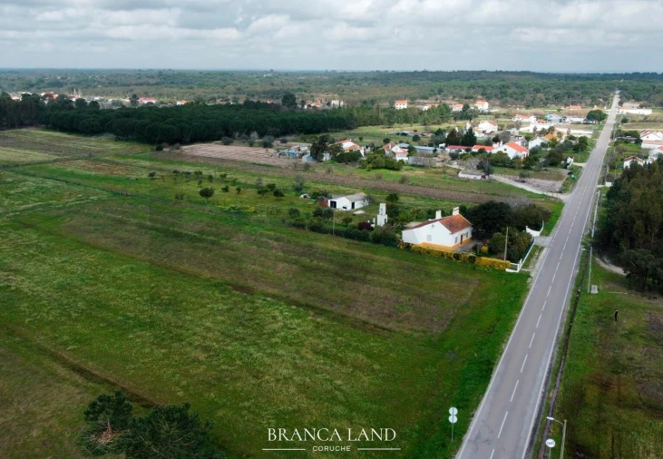 Terreno para Venda em Biscainho Foto 7