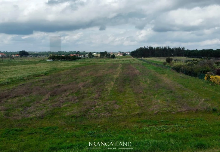Terreno para Venda em Biscainho Foto 8