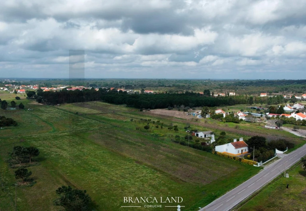 Terreno para Venda em Biscainho Foto 6