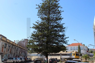 Apartamento T2 para Arrendamento em Oeiras e São Julião da Barra, Paço de Arcos e Caxias