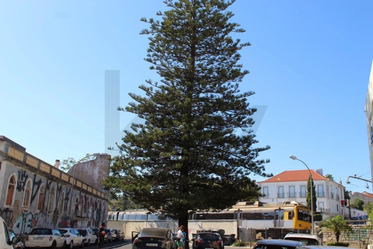 Apartamento T2 para Arrendamento em Oeiras e São Julião da Barra, Paço de Arcos e Caxias Foto 23