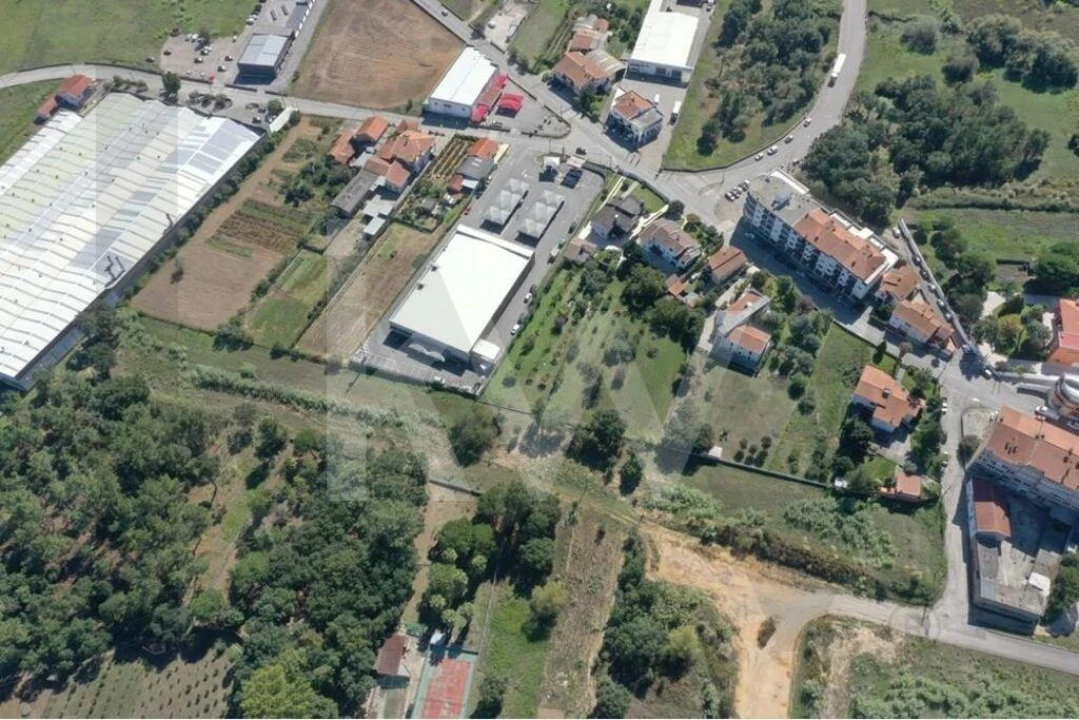 Terreno para Venda em Oliveira do Bairro Foto 3