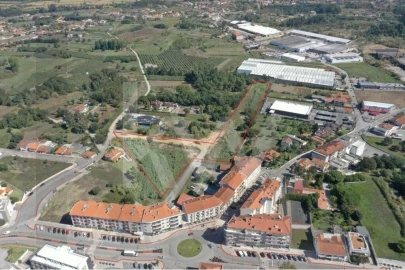Terreno para Venda em Oliveira do Bairro