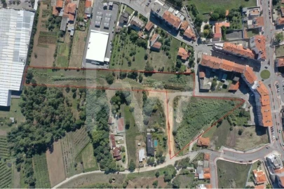 Terreno para Venda em Oliveira do Bairro