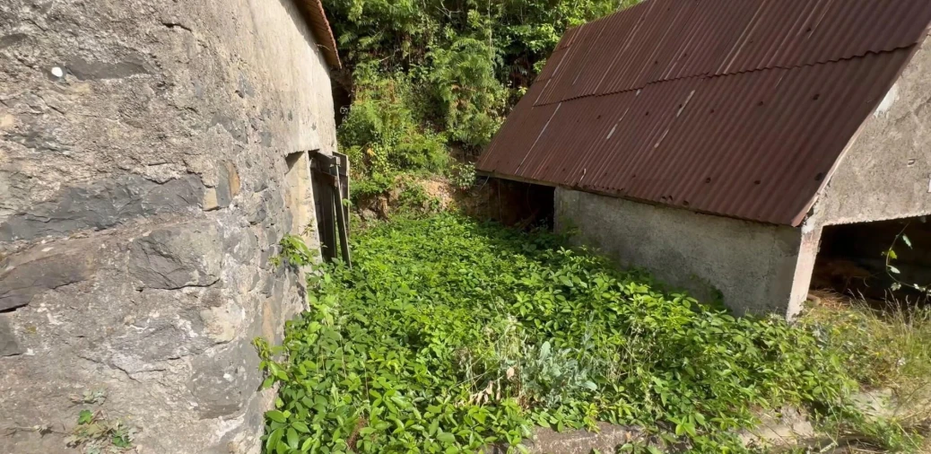 Terreno para Venda em Fajã da Ovelha Foto 3