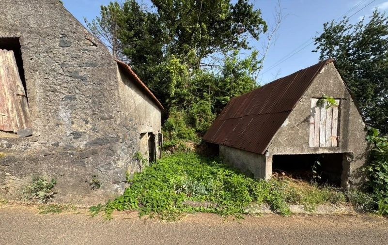 Terreno para Venda em Fajã da Ovelha Foto 2