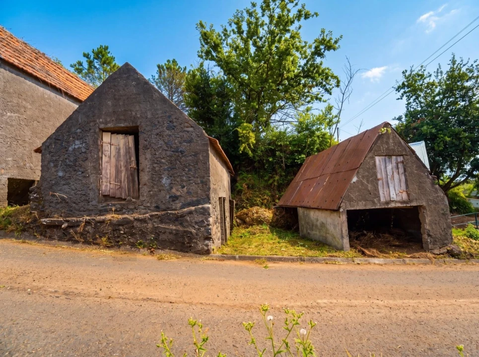 Terreno para Venda em Fajã da Ovelha Foto 4