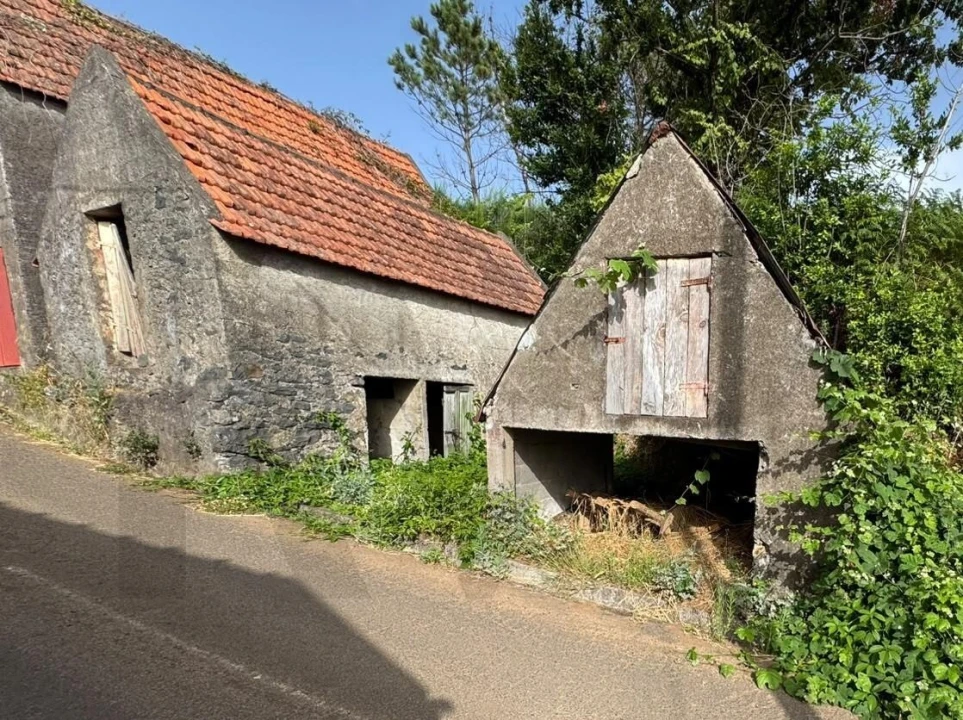 Terreno para Venda em Fajã da Ovelha Foto 5