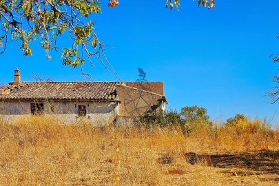 Terreno para Venda em Lagoa e Carvoeiro