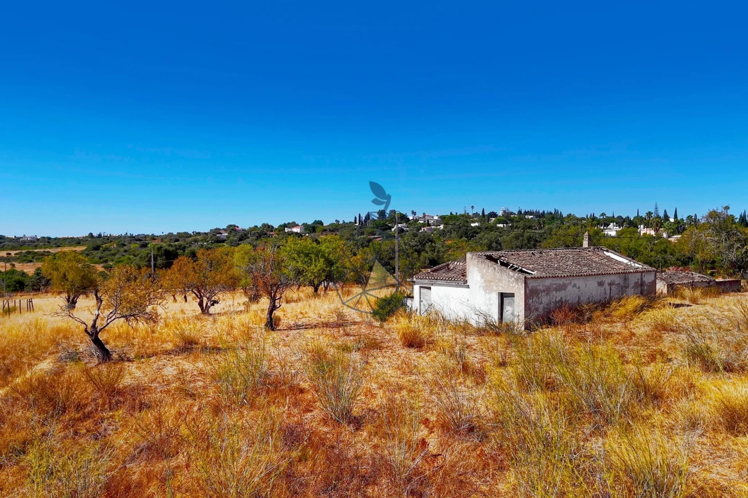Terreno para Venda em Lagoa e Carvoeiro Foto 17