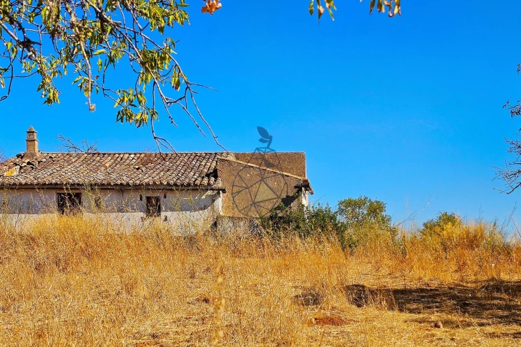 Terreno para Venda em Lagoa e Carvoeiro Foto 4