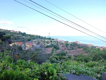 Terreno para Venda em Gaula