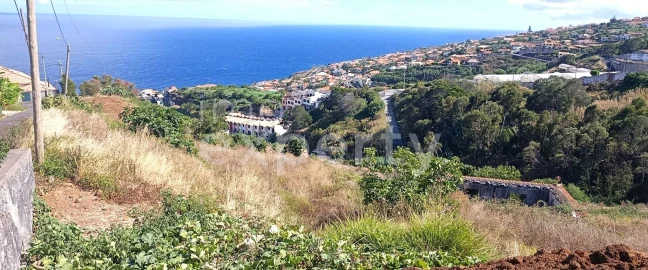 Terreno para Venda em Gaula