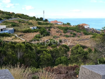 Terreno para Venda em Gaula