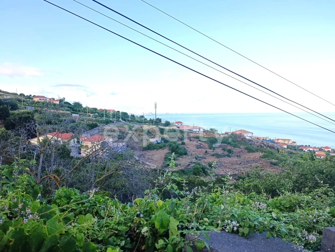 Terreno para Venda em Gaula Foto 3