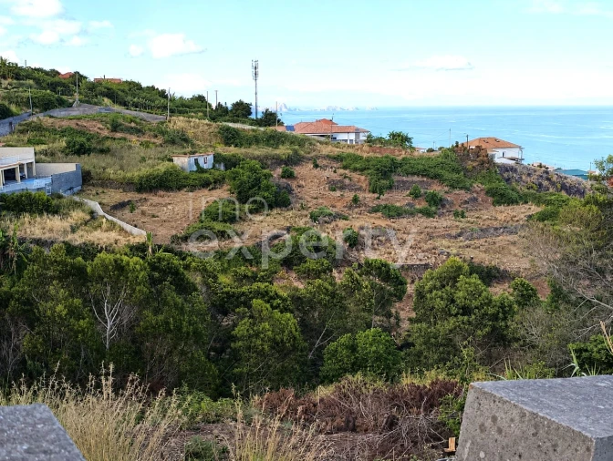 Terreno para Venda em Gaula Foto 4