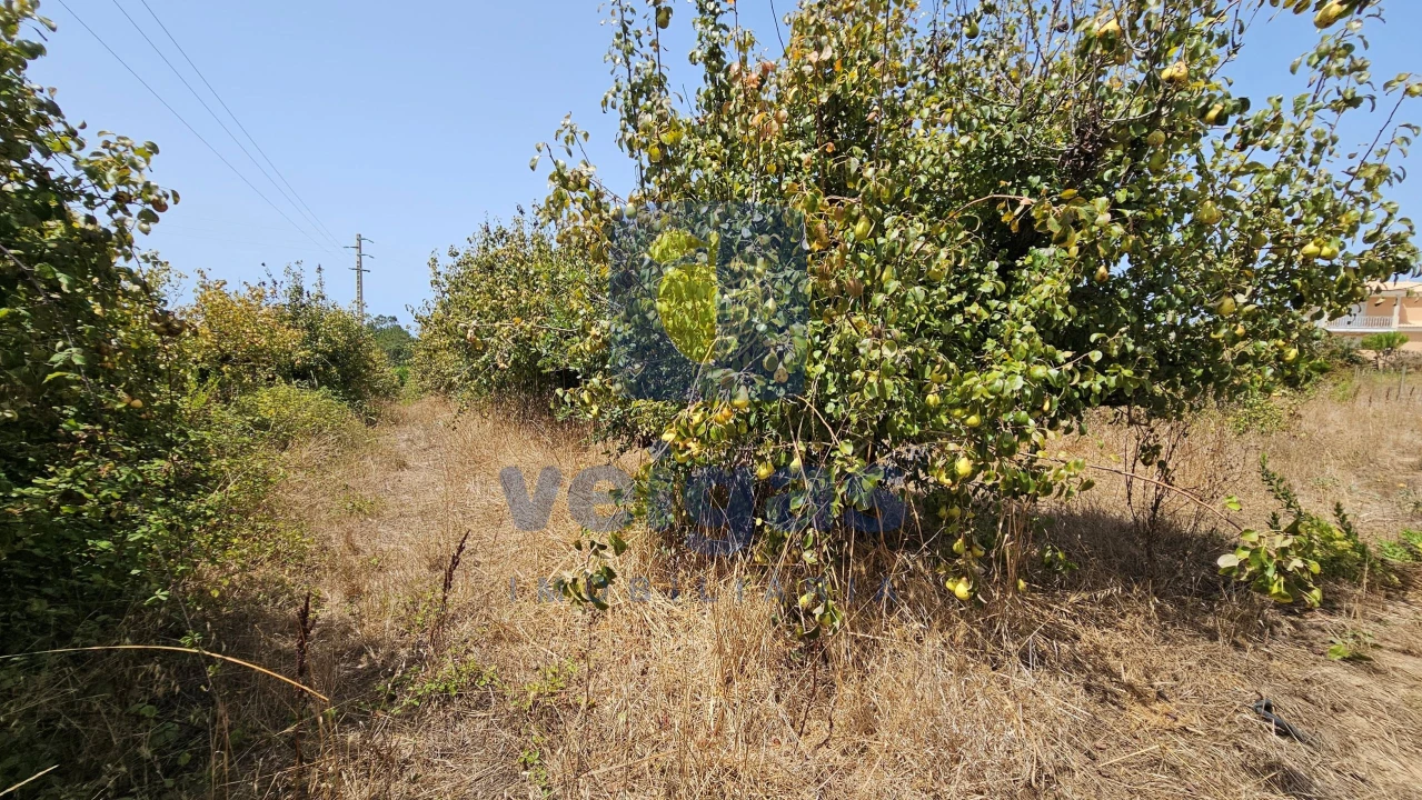 Terreno para Venda em Gaeiras Foto 18
