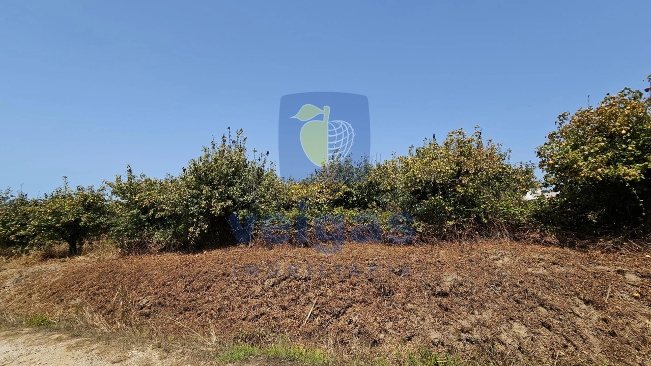 Terreno para Venda em Gaeiras Foto 20