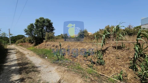 Terreno para Venda em Gaeiras