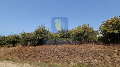 Terreno para Venda em Gaeiras