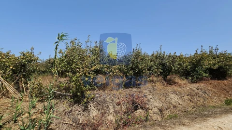 Terreno para Venda em Gaeiras