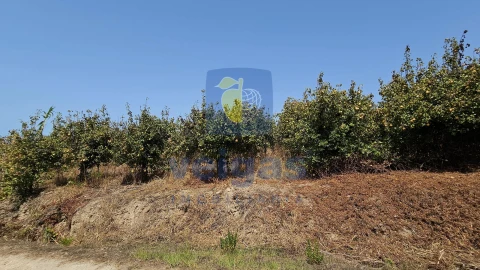 Terreno para Venda em Gaeiras