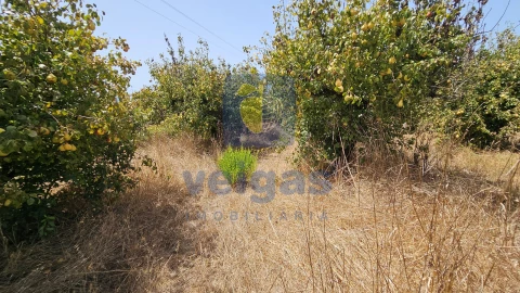Terreno para Venda em Gaeiras