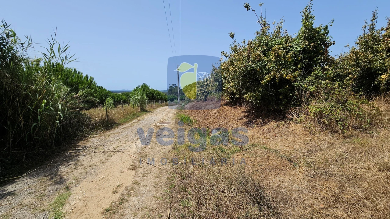Terreno para Venda em Gaeiras Foto 6