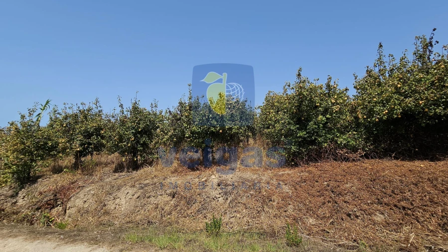 Terreno para Venda em Gaeiras Foto 22