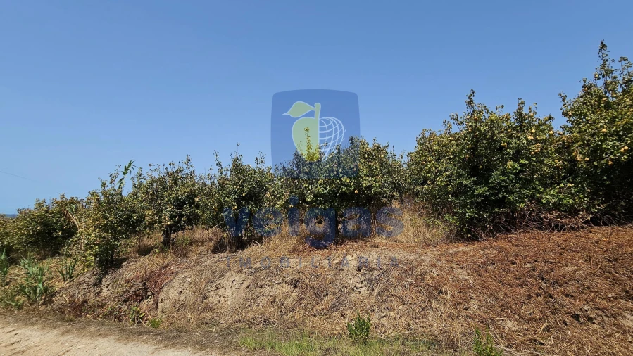 Terreno para Venda em Gaeiras Foto 24