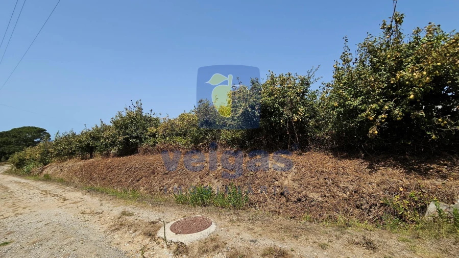 Terreno para Venda em Gaeiras Foto 19