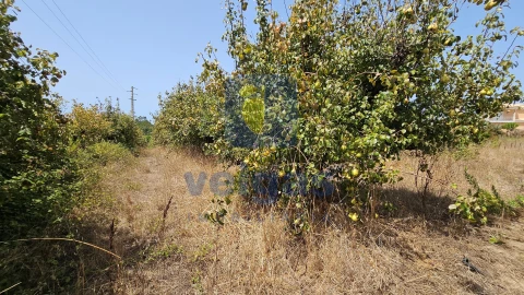 Terreno para Venda em Gaeiras